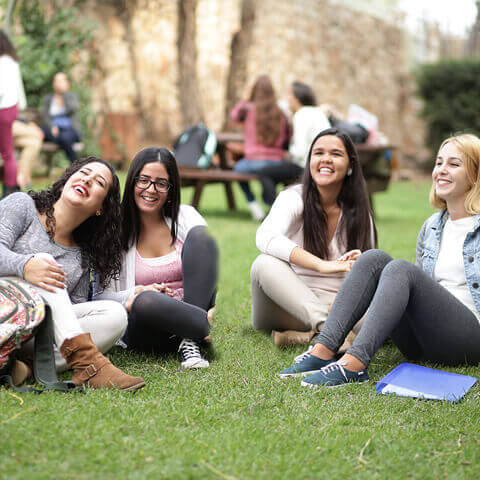 קמפיין לימודים