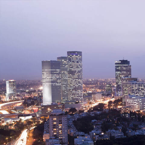 ניהול עמודי מותג בינלאומי - ורד השרון